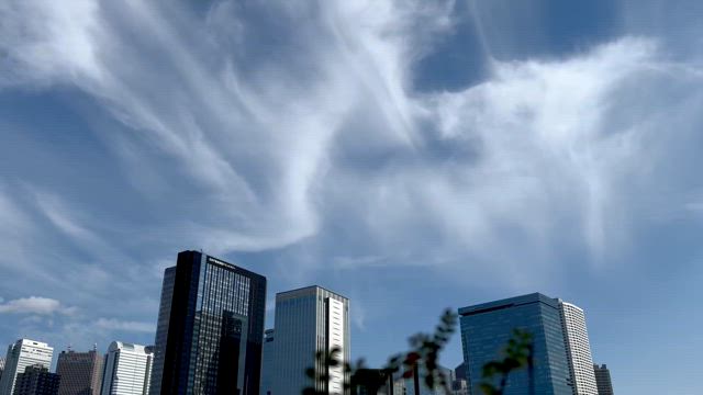 ハト　in C♯mの記事動画