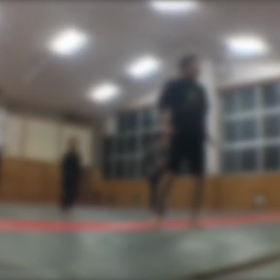空手エアロの画像