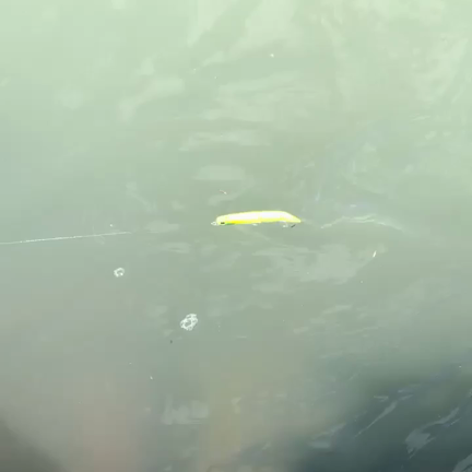 ９月おすすめルアーランキングTOP３‼️の記事動画