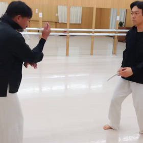 捌きの型1から2への移行の画像