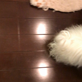 寝る前の一時の画像