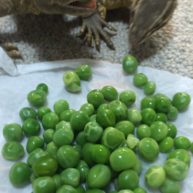 万能食の画像