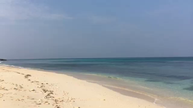南洋の記事動画