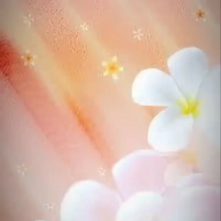 花　引用写真の記事動画