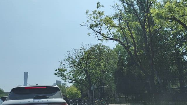雪のようにマオマオ(綿毛)が飛ぶの記事動画