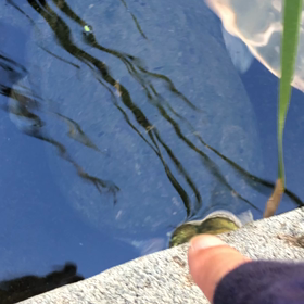 遅い夏休み。の画像