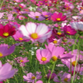青空恋しいなぁ～♪の画像