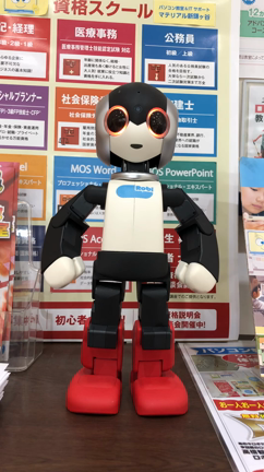 ロビがやってきたの記事動画