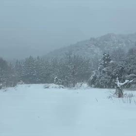 秋田の雪の画像