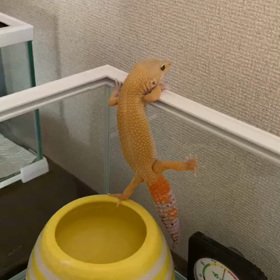 2020/09/13の画像