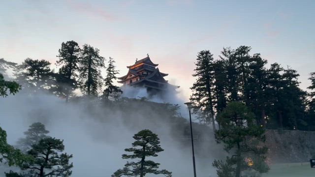 忍日の記事動画