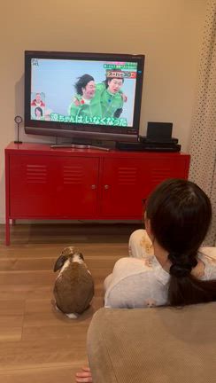 仲良しさん♡の記事動画