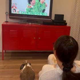 仲良しさん♡の画像