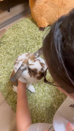 おはようございます☺︎の記事動画
