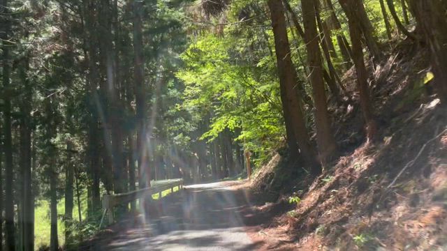 連休ひとり旅！の記事動画