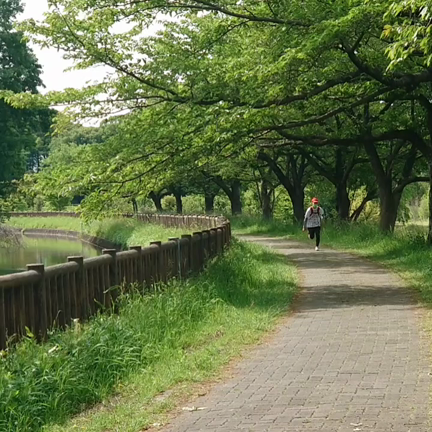 GW中のランニングの記事動画