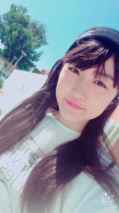 最近の楽しみの記事動画