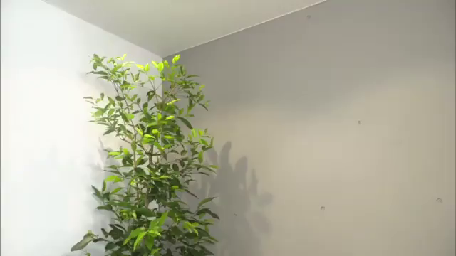 今週の出演情報！の記事動画