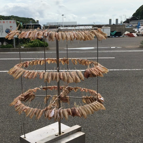 目が回るぅの画像