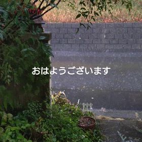 25日。火曜日。の画像