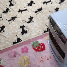 外を、まいてからの画像
