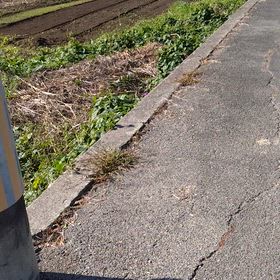 頑張るわあの画像