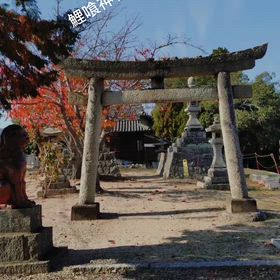 鯉喰神社⛩️さんへの画像