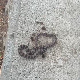 北さんちに、の画像