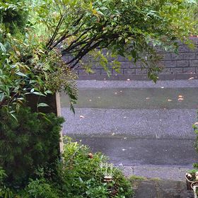 29日、火曜日。の画像