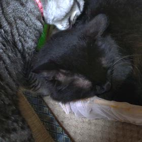 優しい、、仲良しです(^o^)の画像