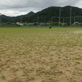 2019/07/22の画像