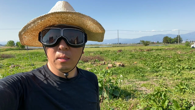 新事実判明！？の記事動画