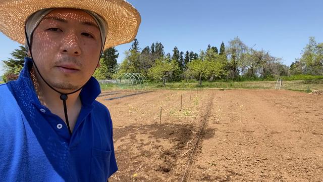 今年もまた始まるよ〜！の記事動画