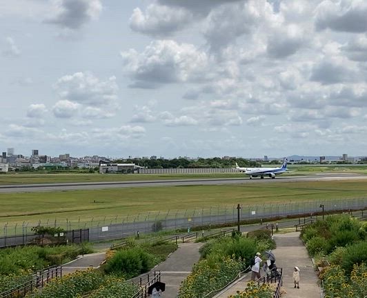 暑いのでテニスサークルＭ中止から飛行機見物の記事動画