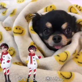 出られませんの画像
