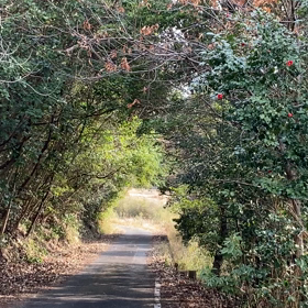 写り込んだのは天使？（過去世続きも）の画像