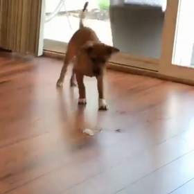 Instagram始めましたが…の画像