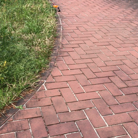 今日のお散歩の画像