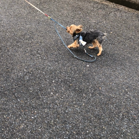 元気になったよー！の画像