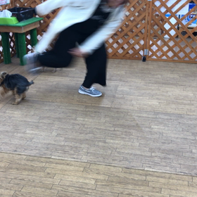くるみ様だけど？何か？の画像