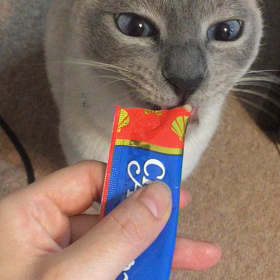 ちゅーるちゅーるちゃおちゅーる〜の画像