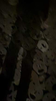 ダンストリップinヨーロッパ！③の記事動画