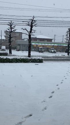 ギャー雪だの記事動画