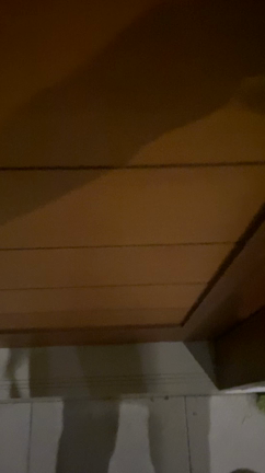 ずっと心に引っかかっていることの記事動画