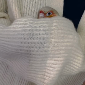 2023/10/26の画像
