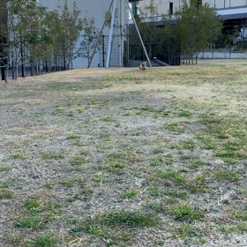 元気いっぱいの休日の画像