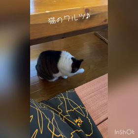 ニョーン、すごいよ！の画像