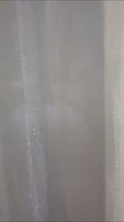 楓の記事動画