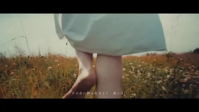 LightTheWayの記事動画