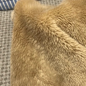 ある日のメイちゃんの画像